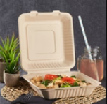 Karat Earth 9'' x 9'' PFAS Free Compostable Bagasse Hinged Containers, Natural - 200 pcs
