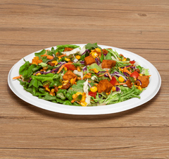 Karat Earth 9'' PFAS Free Compostable Bagasse Round Plates, White - 500 pcs