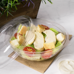 Wholesale 16oz Round PET Plastic Salad Bowl - 500 ct