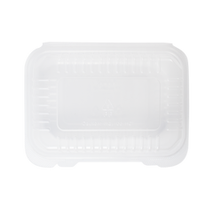 Wholesale 9'' x 6" PP Plastic Hinged Container, 1 compartment - 250 ct
