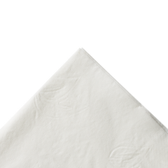 Wholesale 15"x17" 2 Ply Dinner Napkins White - 3,000 ct