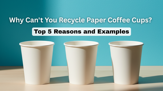 Why Can't You Recycle Paper Coffee Cups? Top 5 Reasons and Examples