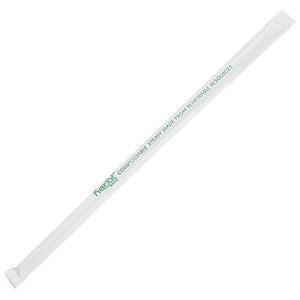 Wholesale 9.5" Eco-Friendly Jumbo Straws (5mm) Paper Wrapped - Clear - 4,800 ct