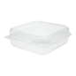 Wholesale 9''x9'' PET Plastic Hinged Containers - 200 ct