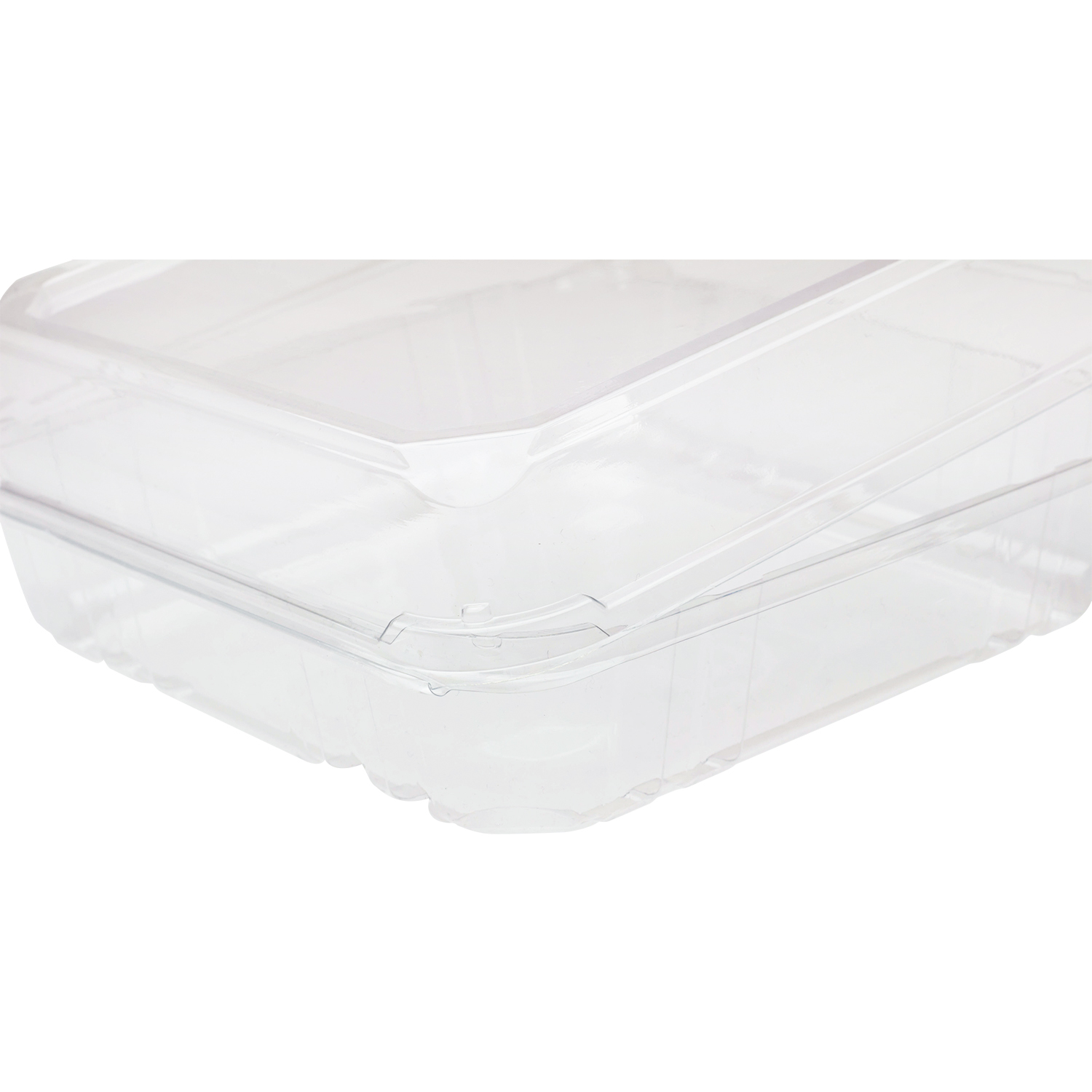 Wholesale 9''x9'' PET Plastic Hinged Containers - 200 ct