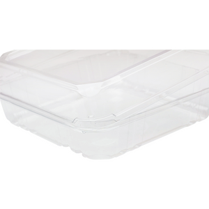 Wholesale 9''x9'' PET Plastic Hinged Containers - 200 ct