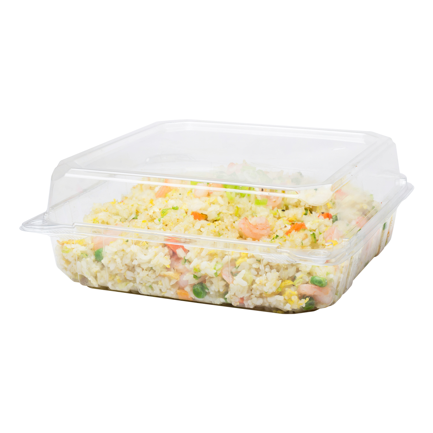 Wholesale 9''x9'' PET Plastic Hinged Containers - 200 ct