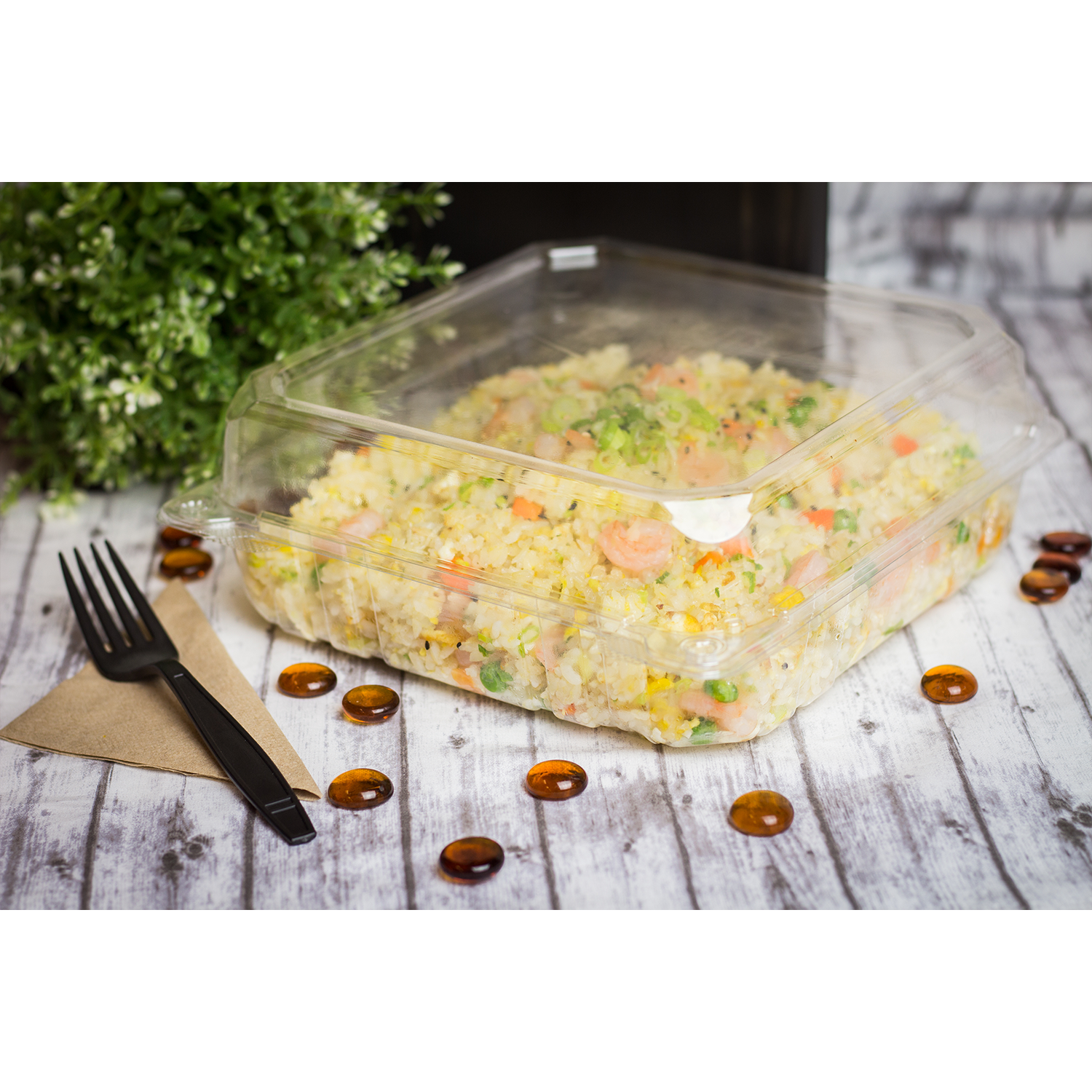 Wholesale 9''x9'' PET Plastic Hinged Containers - 200 ct