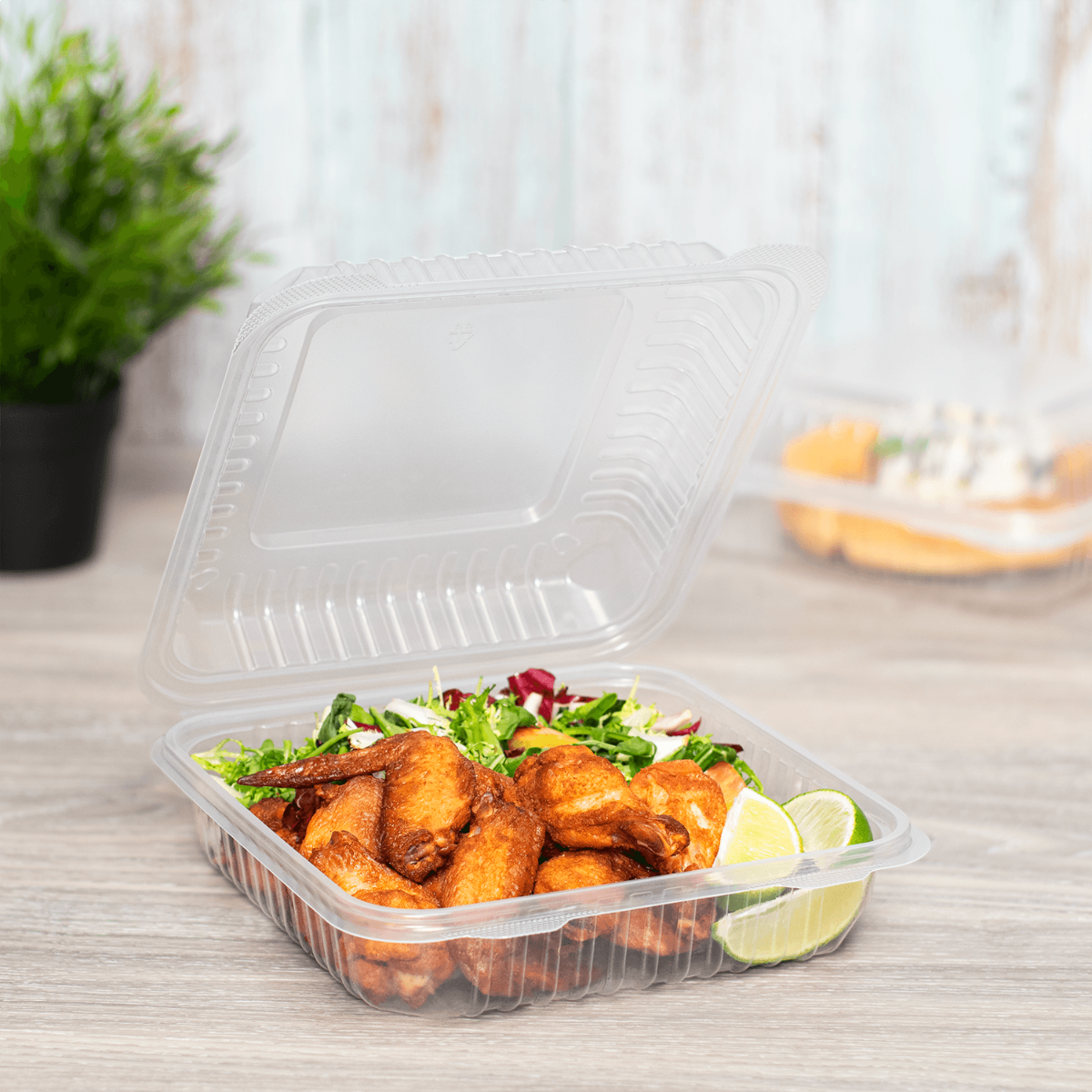 Wholesale 9"x 9" PP Plastic Hinged Containers - 200 ct