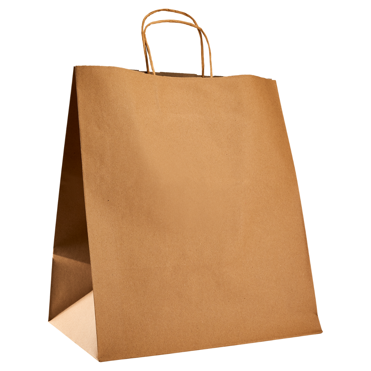 Wholesale Huntington Paper Shopping Bag with Twisted Handles - 200 ct