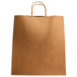 Wholesale Huntington Paper Shopping Bag with Twisted Handles - 200 ct