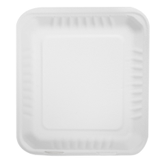 Wholesale 8''x8'' Compostable Bagasse Hinged Containers - 200 ct
