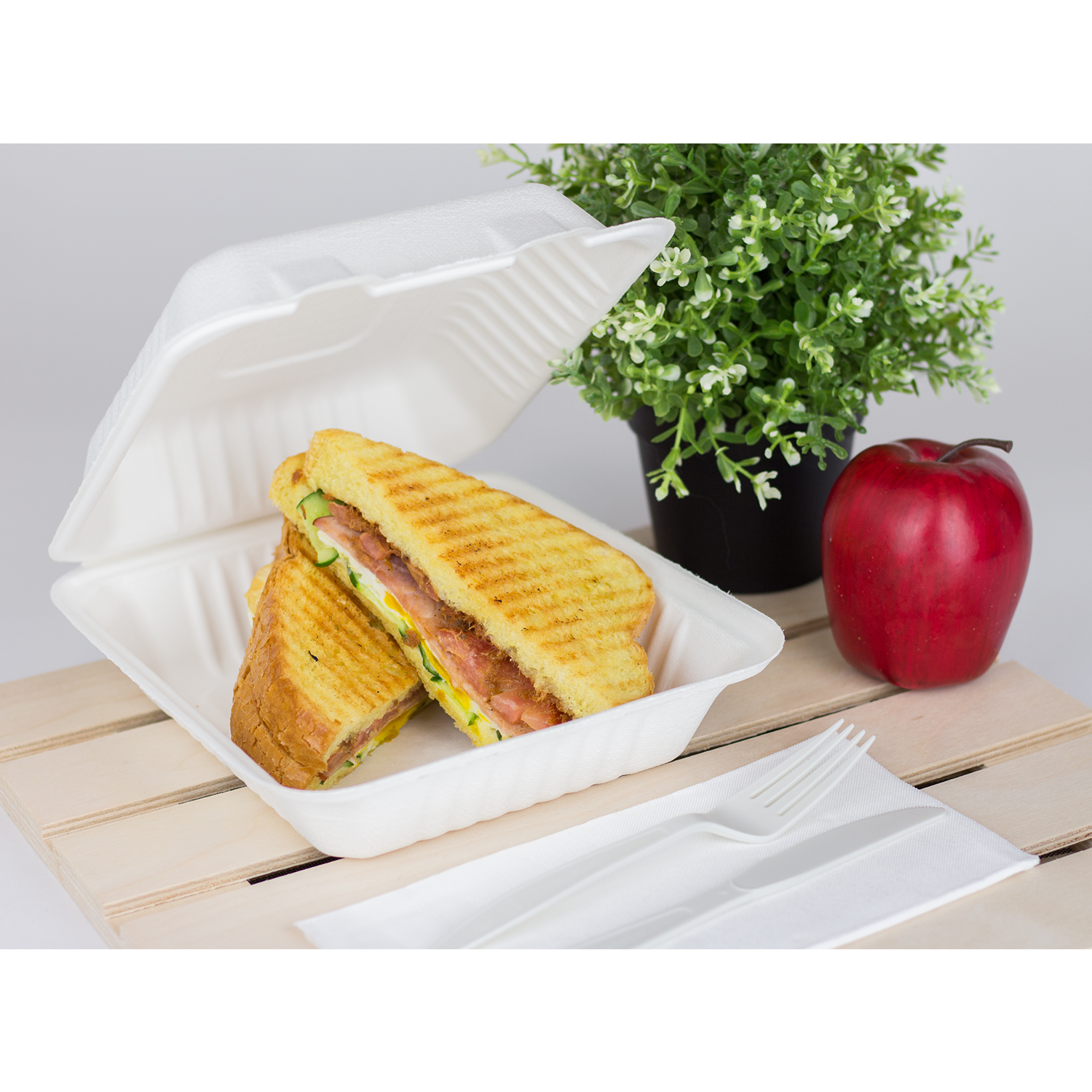 Wholesale 8''x8'' Compostable Bagasse Hinged Containers - 200 ct