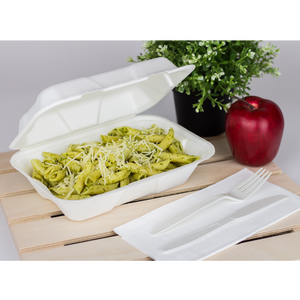 Wholesale 9''x6'' Compostable Bagasse Hinged Containers - 200 ct