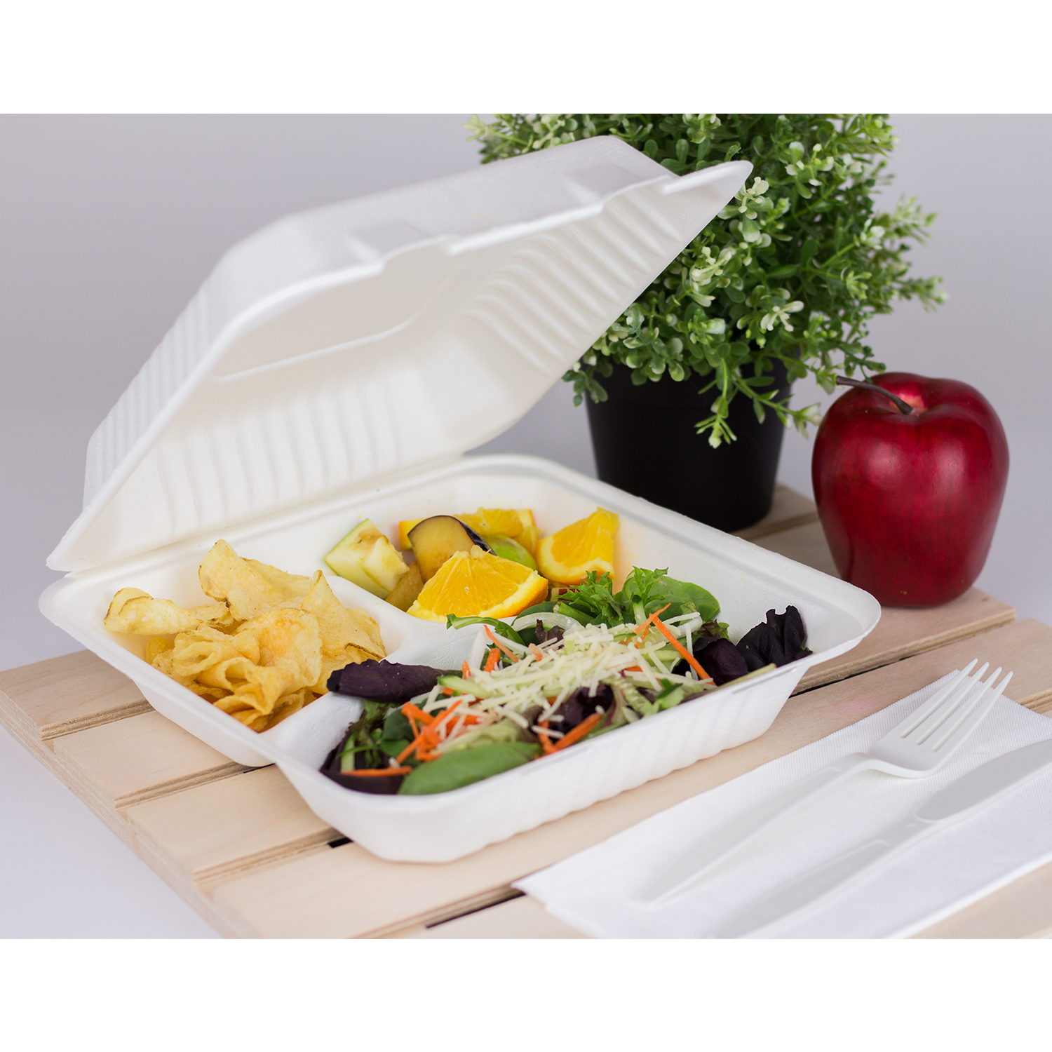 Wholesale 9"x9" Compostable Bagasse Hinged Container 3 Compartments - 200 ct