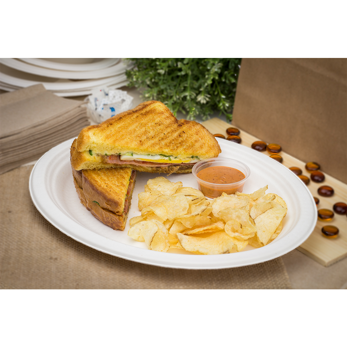 Wholesale 10''x8'' Compostable Bagasse Oval Plates - 500 ct
