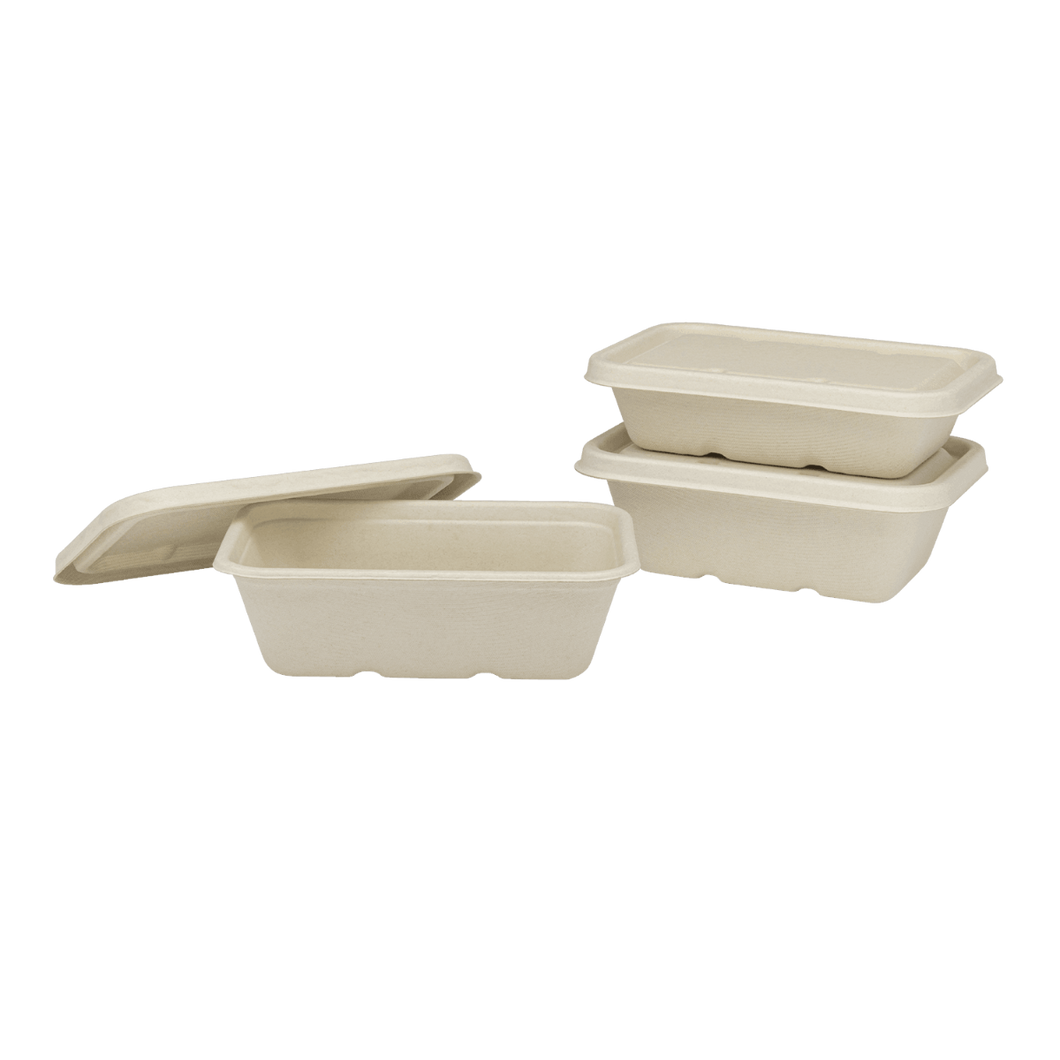 Wholesale 20oz Natural Bagasse Take Out Container, Rectangular - 500 ct