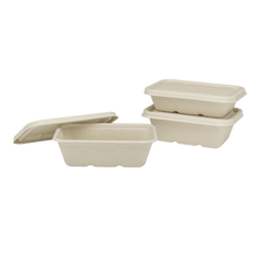 Wholesale 20oz Natural Bagasse Take Out Container, Rectangular - 500 ct