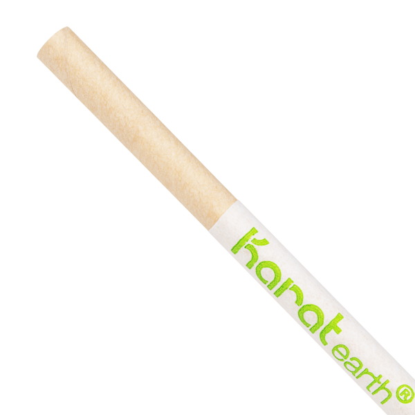Wholesale 7.75" Eco-Friendly Giant Paper Straw, Paper Wrapped - Kraft - 2,000 ct