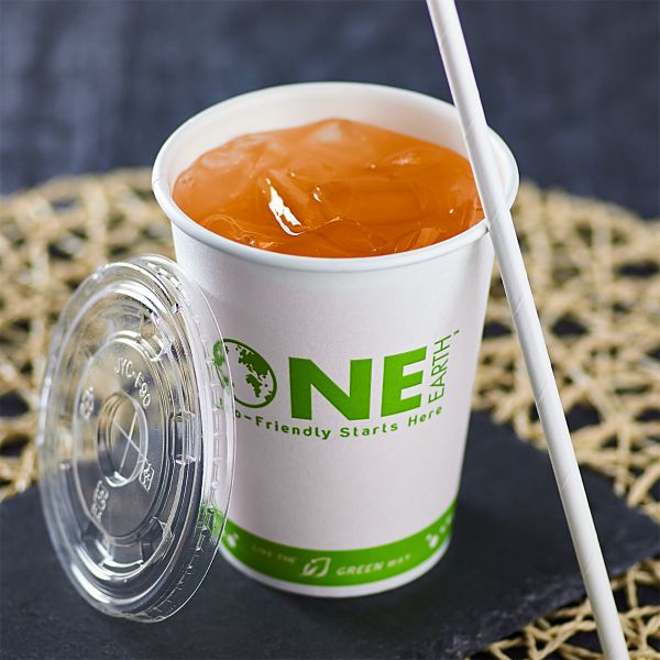 Wholesale 12oz Eco-Friendly Paper Cold Cups - 1,000 ct
