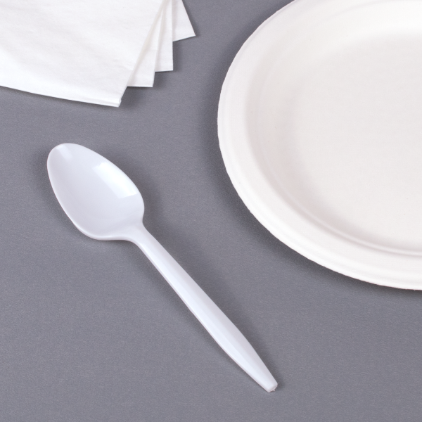 Wholesale PS Plastic Medium Weight Tea Spoons Bulk Box White - 1,000 ct