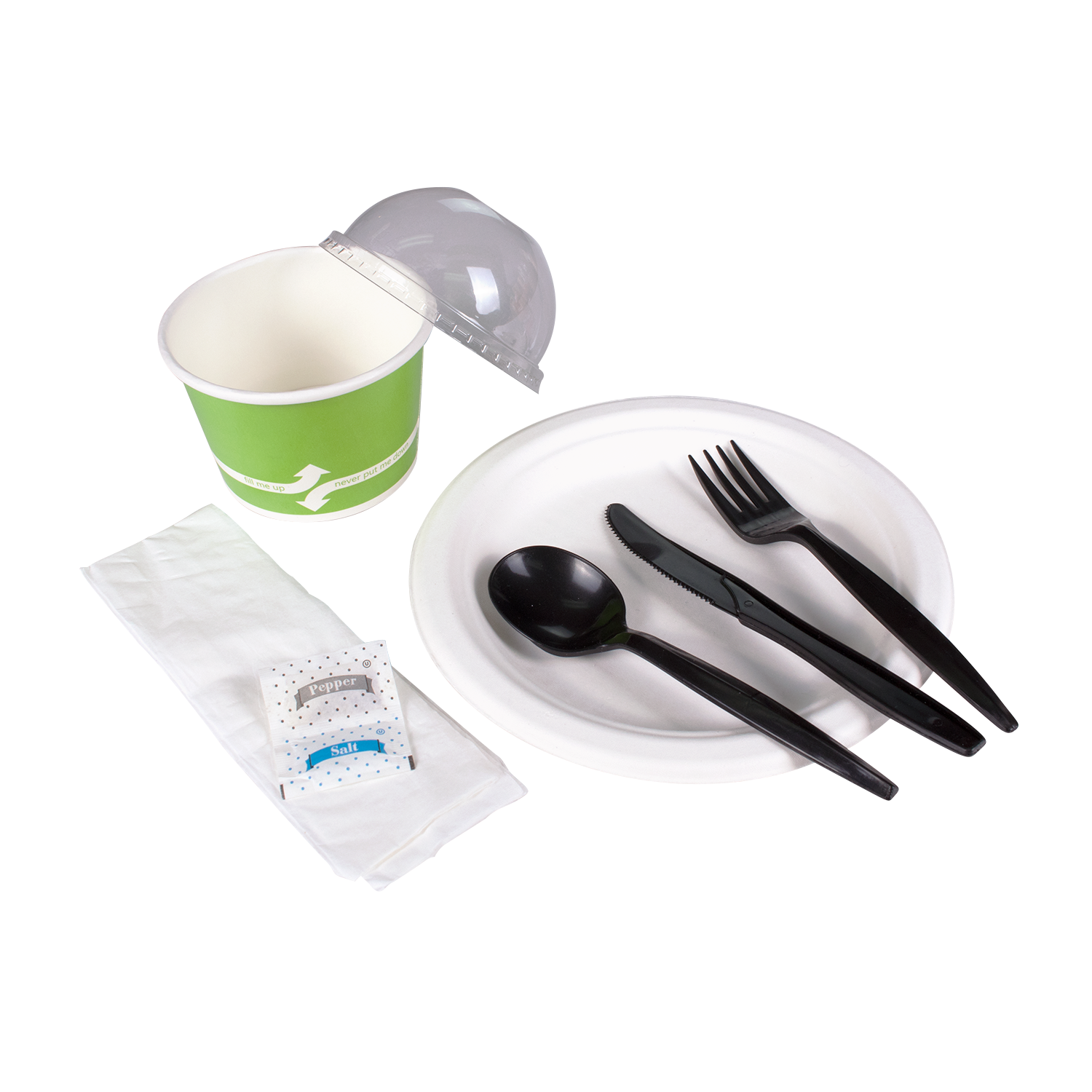 Wholesale PP Plastic Medium-Heavy Weight Cutlery Kits with Salt and Pepper Black - 250 ct