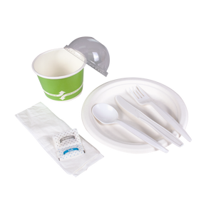 Wholesale PP Plastic Medium-Heavy Weight Cutlery Kits with Salt and Pepper White - 250 ct