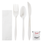 Wholesale PP Plastic Medium Weight Cutlery Kits with Salt and Pepper White - 250 ct